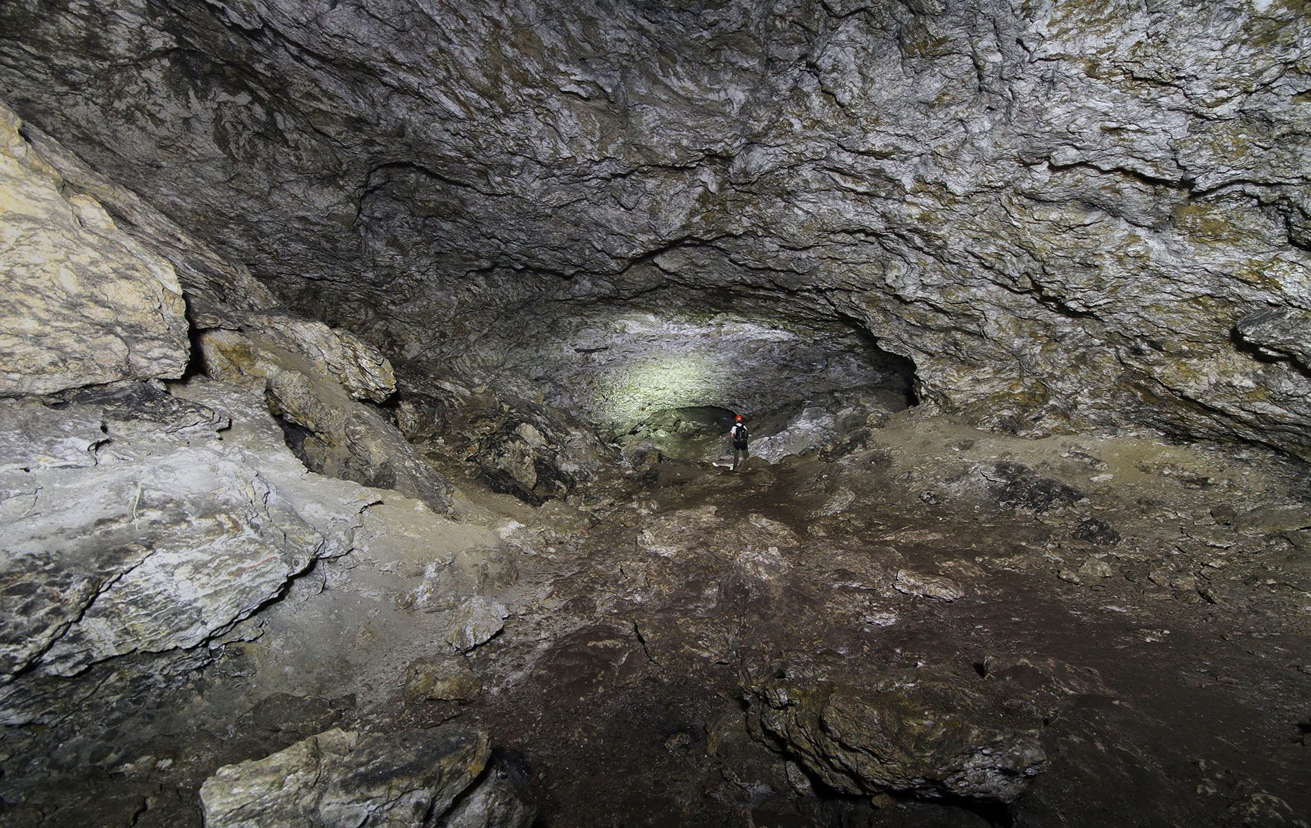 u verlagerung oer u verlagerung oer