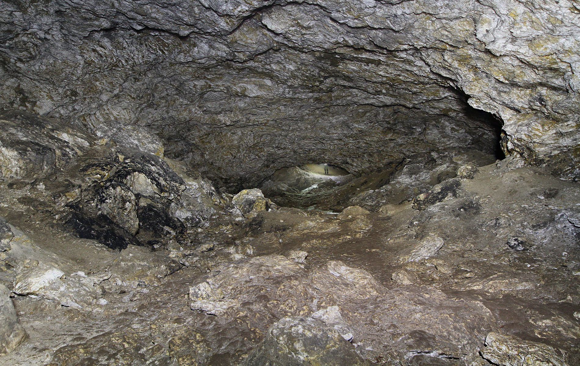 u verlagerung oer u verlagerung oer