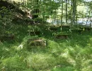 u verlagerung ofen 19 20 foto 11