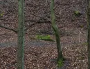 u verlagerung ofen 3 4 foto 03