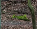 u verlagerung ofen 3 4 foto 47