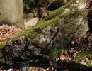 u verlagerung ofen 37 38 foto 03