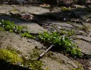 u verlagerung ofen 37 38 foto 08