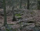 u verlagerung ofen 37 38 foto 11