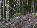 u verlagerung ofen 37 38 foto 16