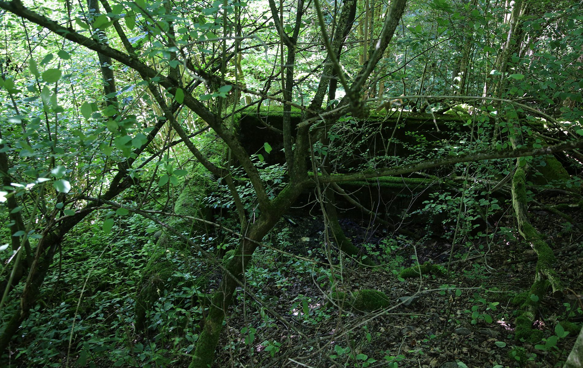 u verlagerung ofen 7 8 01