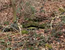 u verlagerung ofen 1 2 foto 28