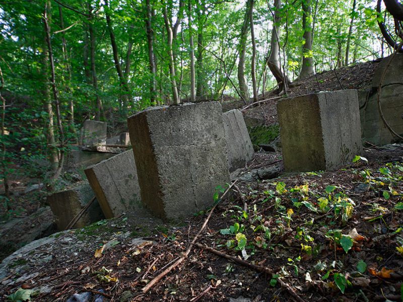 uebertage an der u verlagerung dachs 1 picture