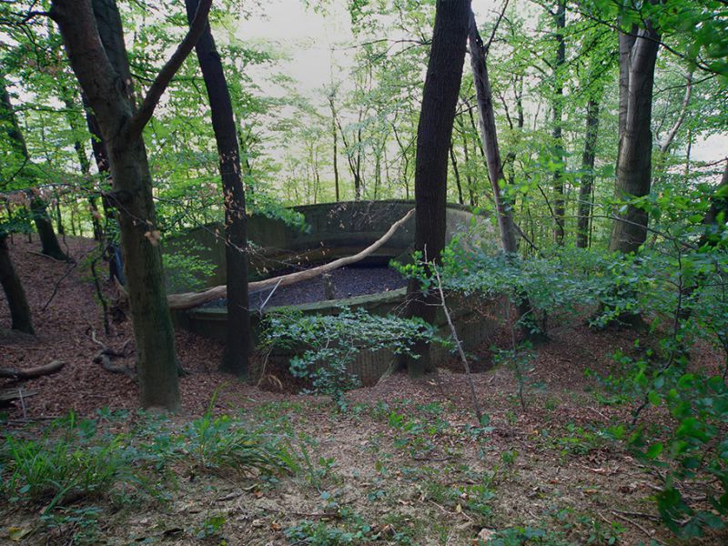 uebertage an der u verlagerung dachs 1 picture