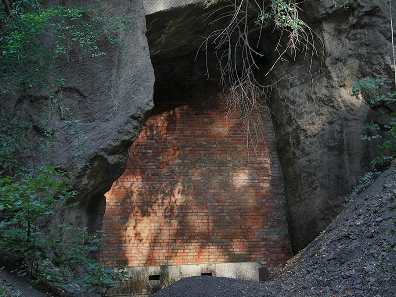 uebertage an der u verlagerung dachs 1 picture