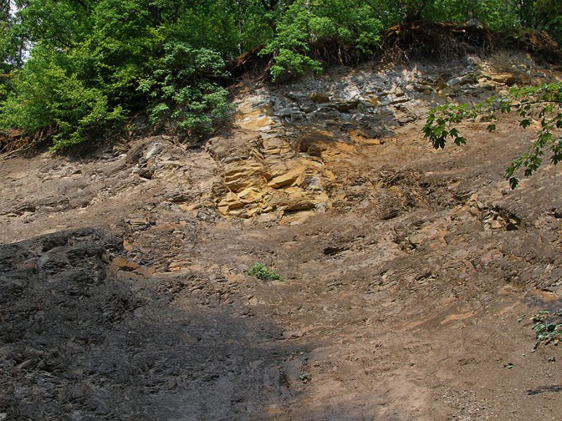 uebertage an der u verlagerung dachs 1 picture