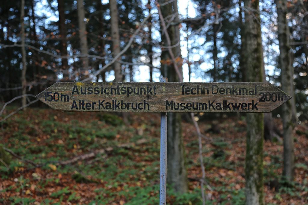 u verlagerung quappe fotografie