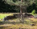 u verlagerung ricke