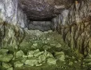 projekt orion u verlagerung riesenrose foto