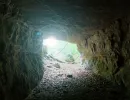 projekt orion u verlagerung riesenrose foto