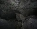 u verlagerung rogenstein projekt dachs vii