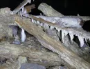 u verlagerung rogenstein projekt dachs vii
