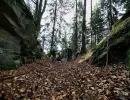u verlagerung rotfeder foto