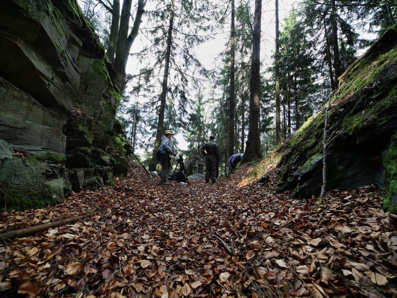 u verlagerung rotfeder foto