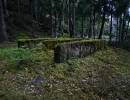u verlagerung rotfeder foto