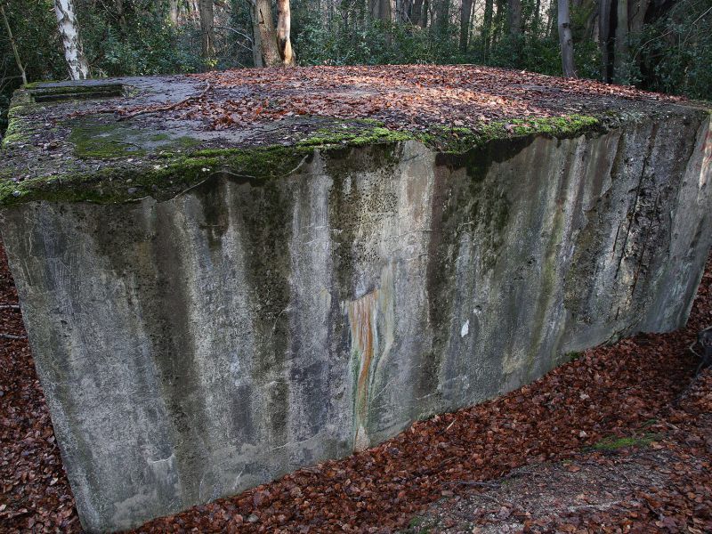 u verlagerung schlammpeitzger foto