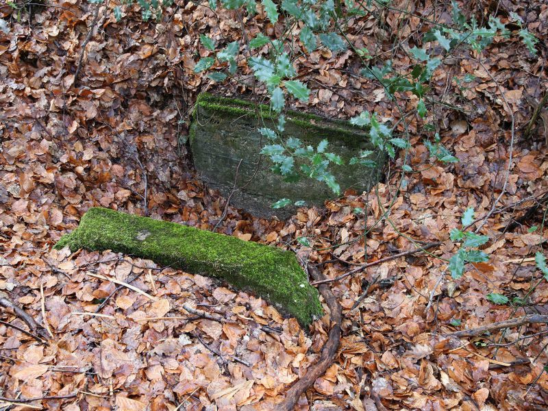 u verlagerung schlammpeitzger foto