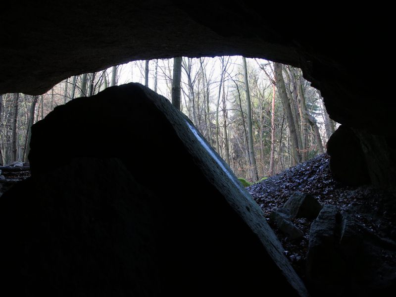 u verlagerung schlammpeitzger foto