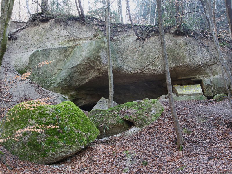 u verlagerung schlammpeitzger foto