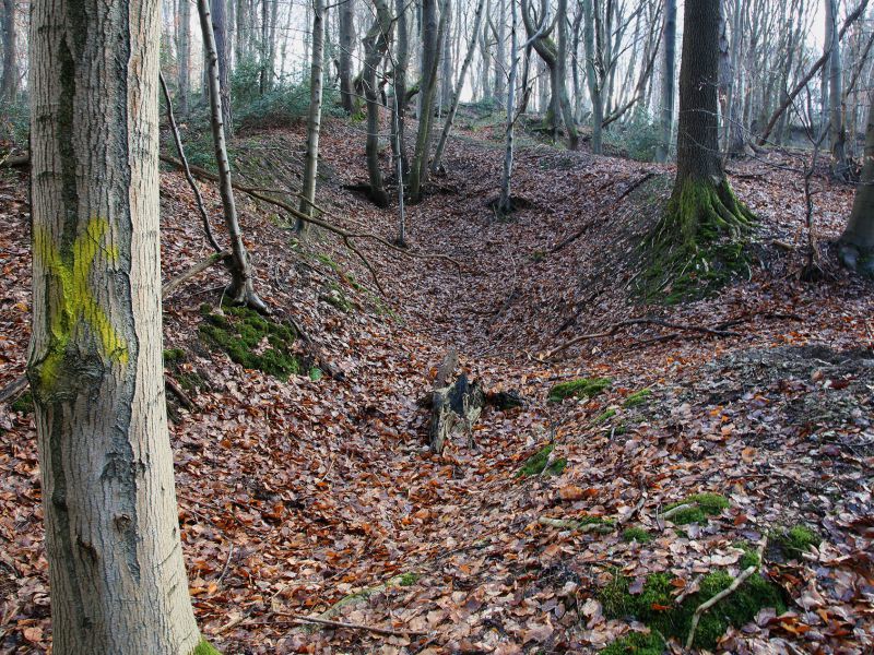 u verlagerung schlammpeitzger foto