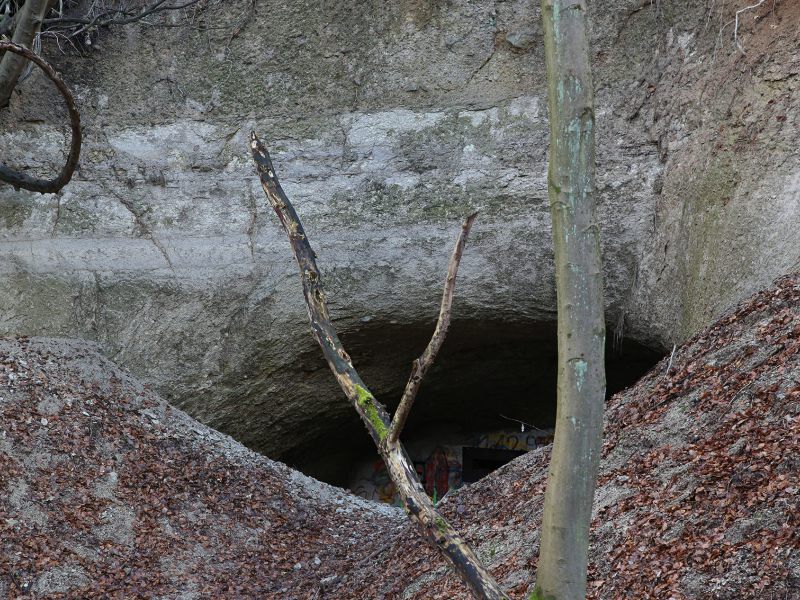 u verlagerung schlammpeitzger foto