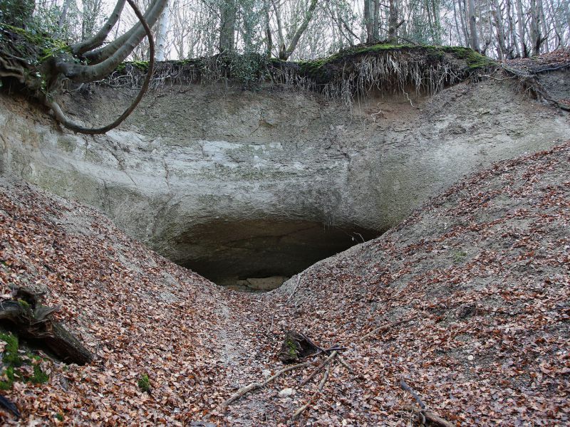 u verlagerung schlammpeitzger foto