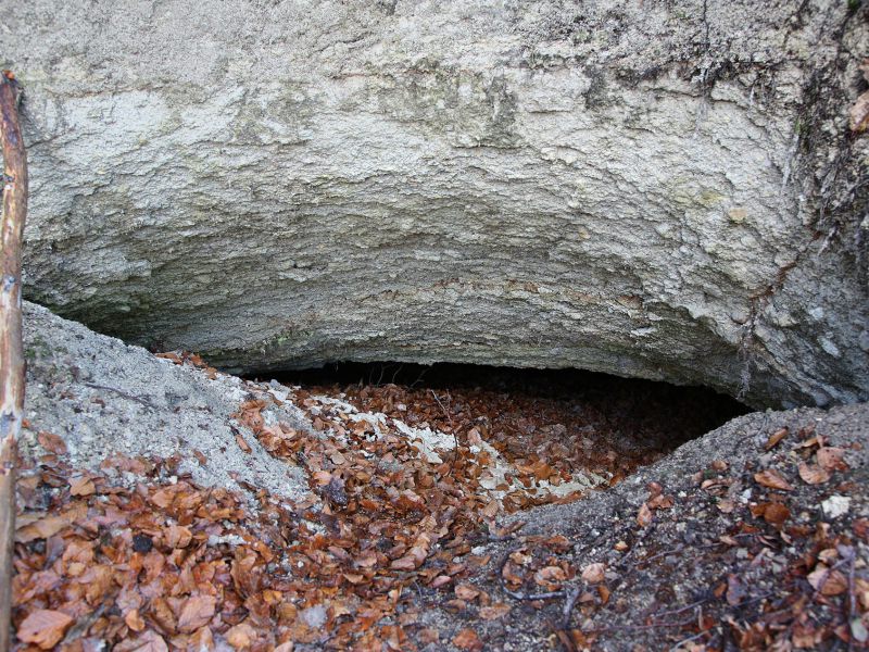 u verlagerung schlammpeitzger foto