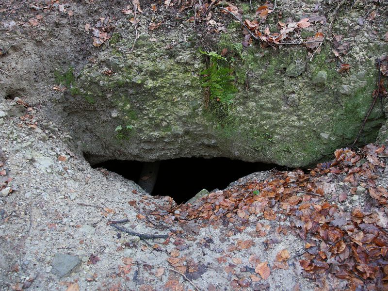 u verlagerung schlammpeitzger foto