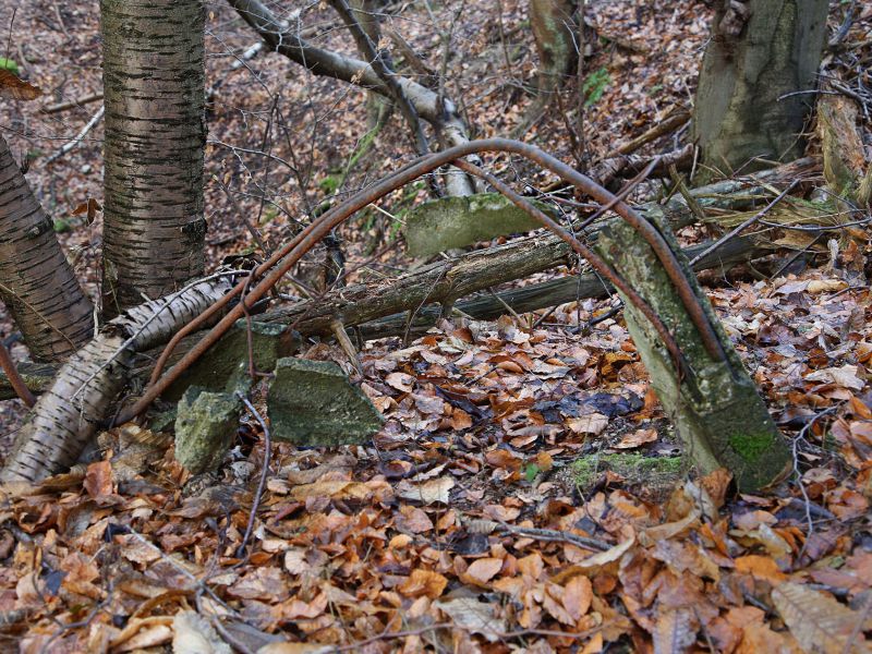 u verlagerung schlammpeitzger foto