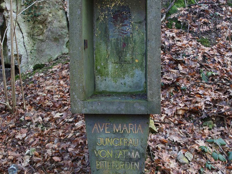 u verlagerung schlammpeitzger foto