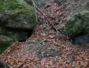 u verlagerung schlammpeitzger foto