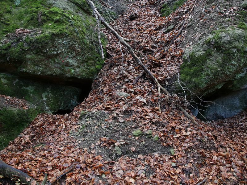 u verlagerung schlammpeitzger foto