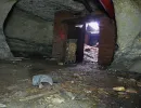 u verlagerung schlammpeitzger foto