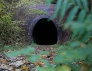 u verlagerung uhu foto 15