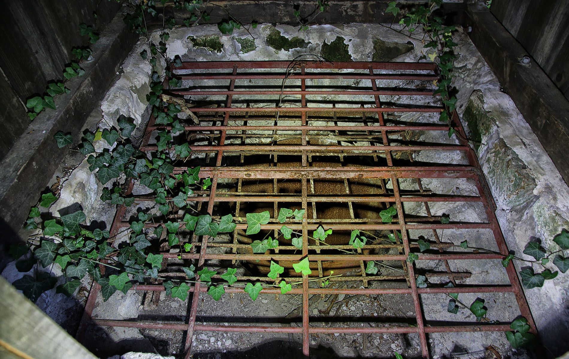 u verlagerung walpurga 18