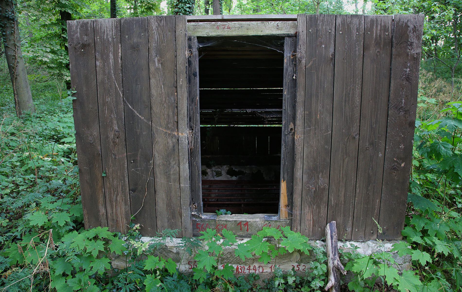 u verlagerung walpurga 19