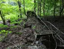 u verlagerung zander foto 03