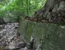 u verlagerung zander foto 05