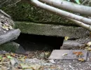 u verlagerung zander foto 08