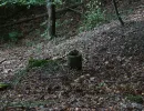 u verlagerung zander foto 12