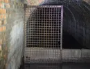 u verlagerung zander foto 19