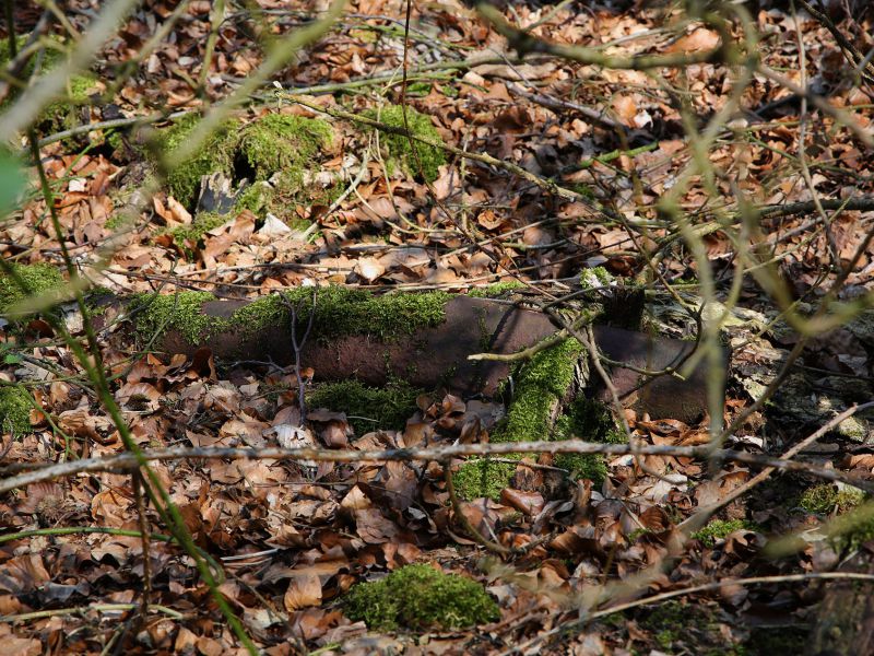 u verlagerung zeolith foto