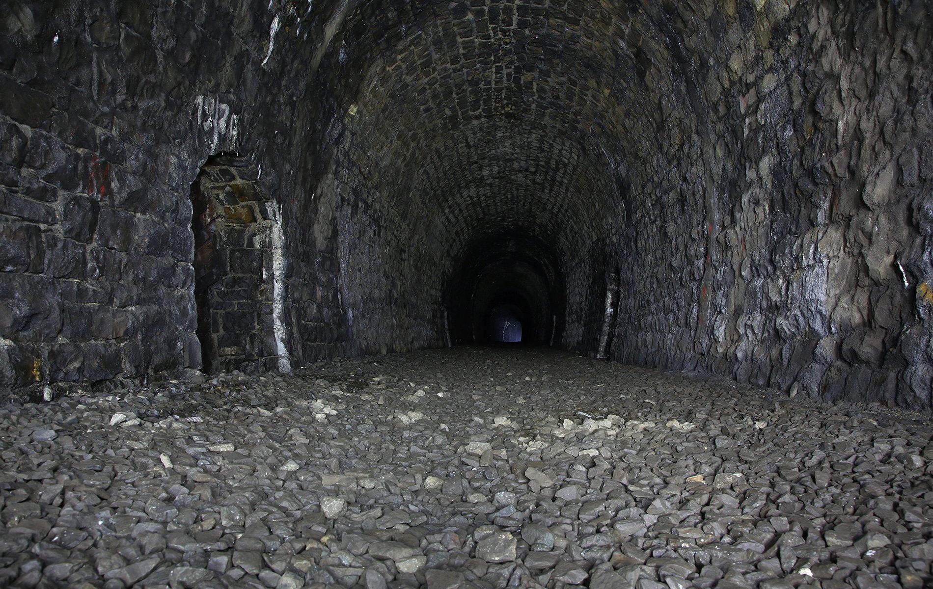 u verlagerung eisvogel