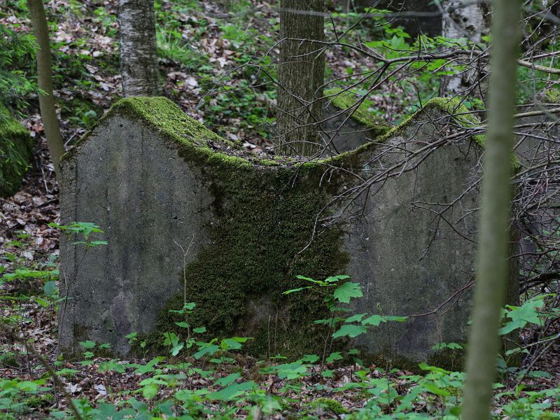 u verlagerung jakob iv foto