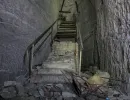u verlagerung makrele i